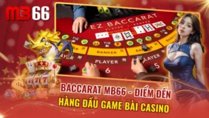 Baccarat MB66