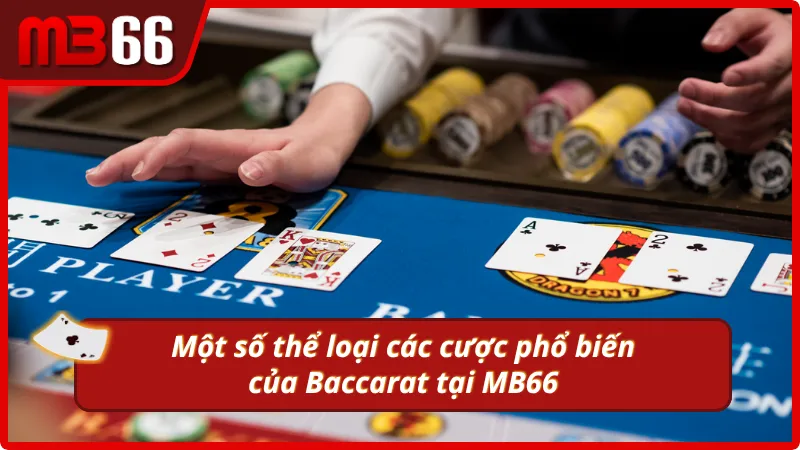 Nắm bắt nhanh các loại cá cược phổ biến Baccarat tại MB66