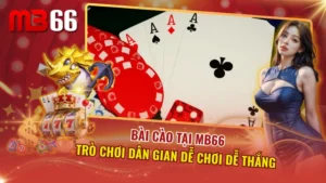 Bài Cào
