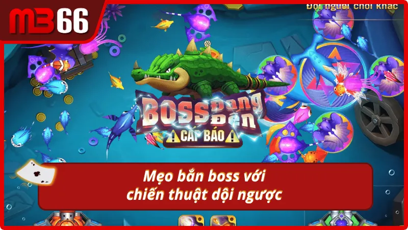 Bí kíp săn cá vàng bằng đạn dội ngược từ rùa