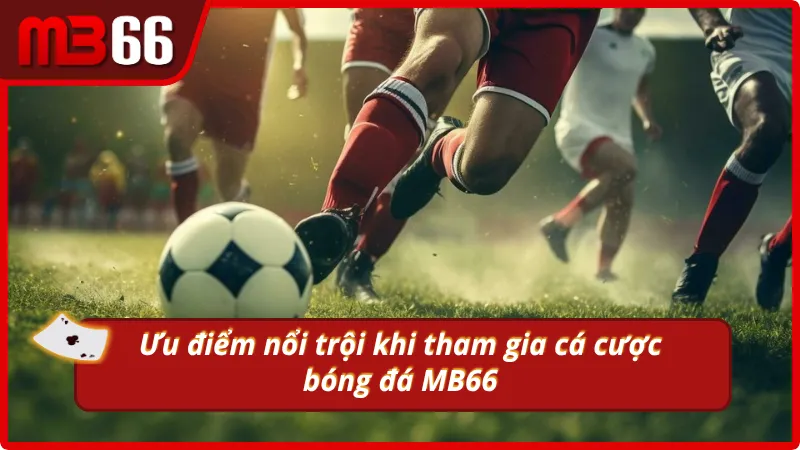 Lợi ích khi tham gia các loại kèo bóng đá MB66
