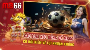 Các Loại Kèo Bóng Đá MB66