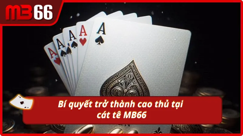 Bí quyết chơi cát tê hiệu quả từ các cao thủ kỳ cựu