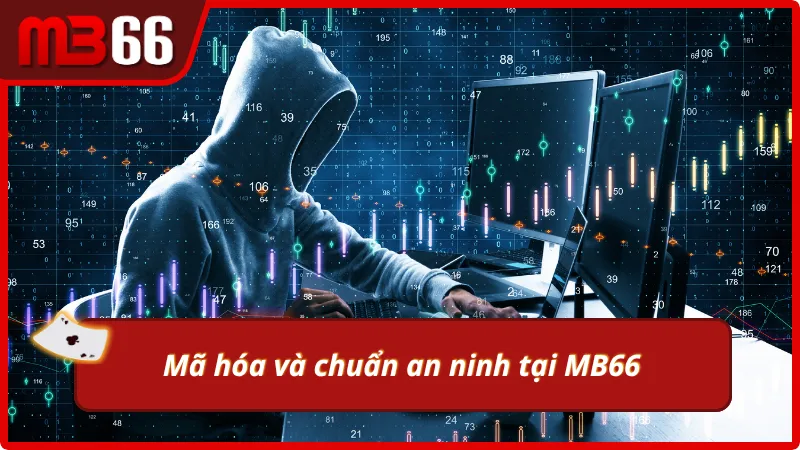 Đặt mã hóa và an ninh mạng làm cốt lõi trong hệ thống bảo mật