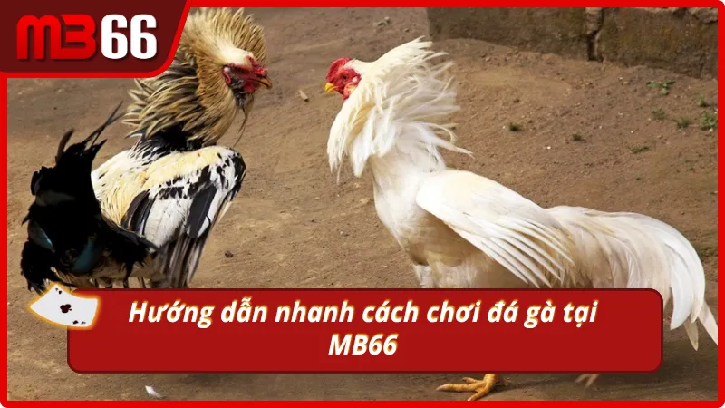 Chia sẻ nhanh cách chơi tại MB66