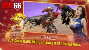 Đá Gà AOG