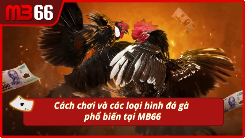 Chia sẻ kinh nghiệm, cách chơi tại MB66