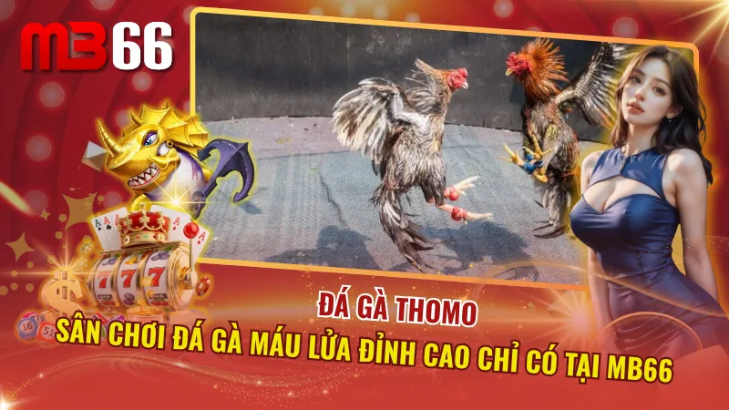 Đá Gà Thomo