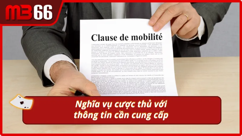 Điều khoản và điều kiện MB66 về những dữ liệu cung cấp cho nhà cái