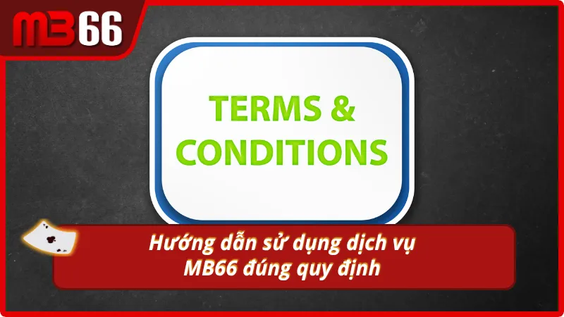 Hướng dẫn cược thủ cần nắm  khi vận hành tài khoản cá cược