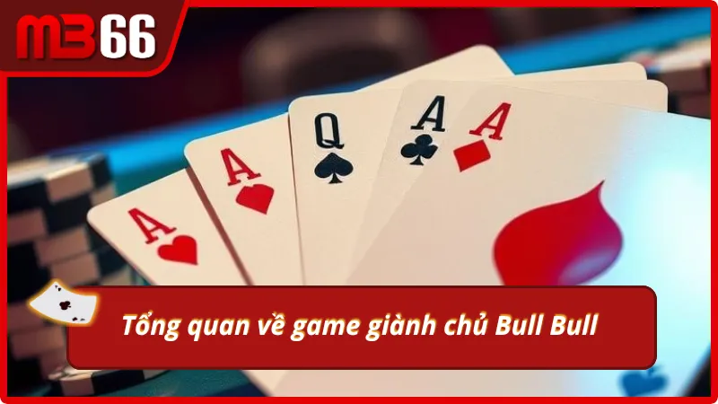 Giới thiệu sơ lược về giành chủ Bull Bull 