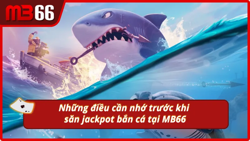 Lưu ý khi săn cá