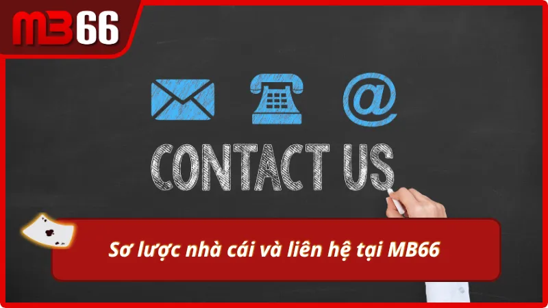 Giới thiệu MB66 và liên hệ