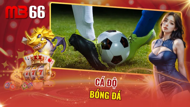 Bet kèo bóng đá bùng nổ cùng vô số giải đấu tiềm năng