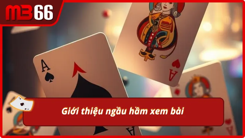 Ngầu hầm xem bài là kỹ năng phân tích bài nhanh nhạy