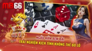 Ngầu Hầm Xem Bài