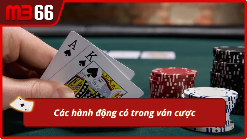Hành động trong một ván Poker cần nắm vững