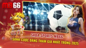 SABA Sports MB66