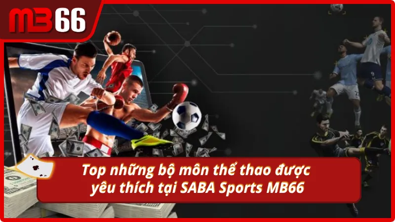 Tiến hành đặt cược thể thao tại SABA Sports