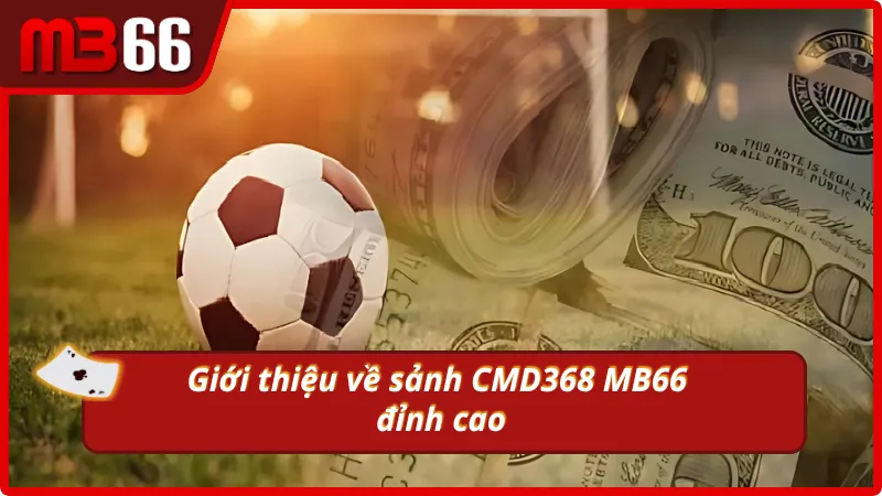 Giới thiệu về sảnh CMD368