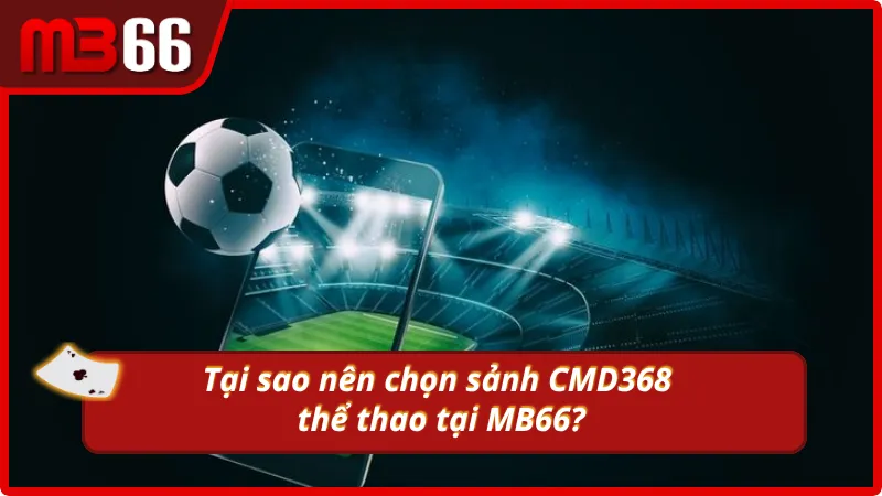 Lý do nên chọn CMD368 tại MB66