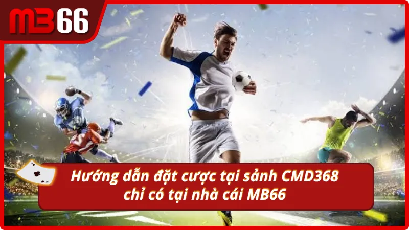 Hướng dẫn đặt cược