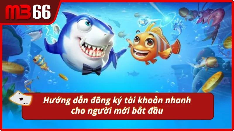 Các bước đăng ký dành cho người mới tìm hiểu