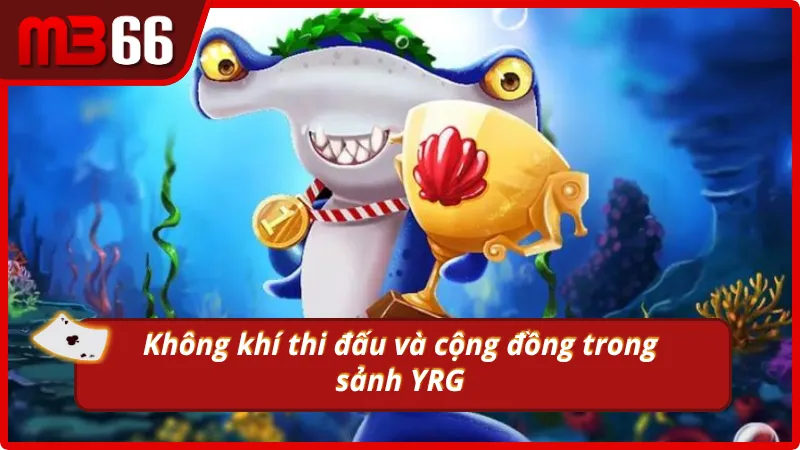 Sảnh YRG bắn cá đua top và kết nối cộng đồng đông đảo
