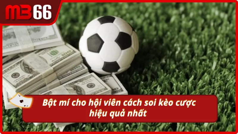 Bí quyết giúp hội viên tăng khả năng thắng cược thể thao