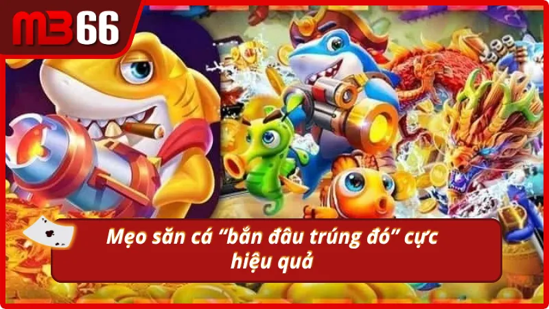 Mẹo săn cá cực dễ