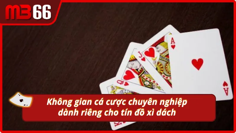 Không gian cá cược chuyên nghiệp dành riêng cho tín đồ xì dách