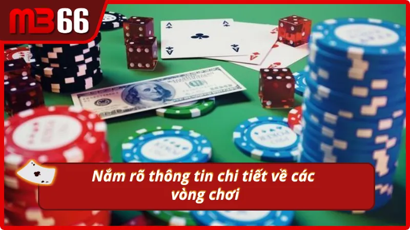 Các vòng chơi chi tiết diễn ra hấp dẫn