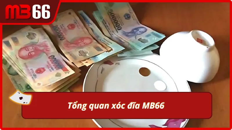 tổng quan về xóc đĩa
