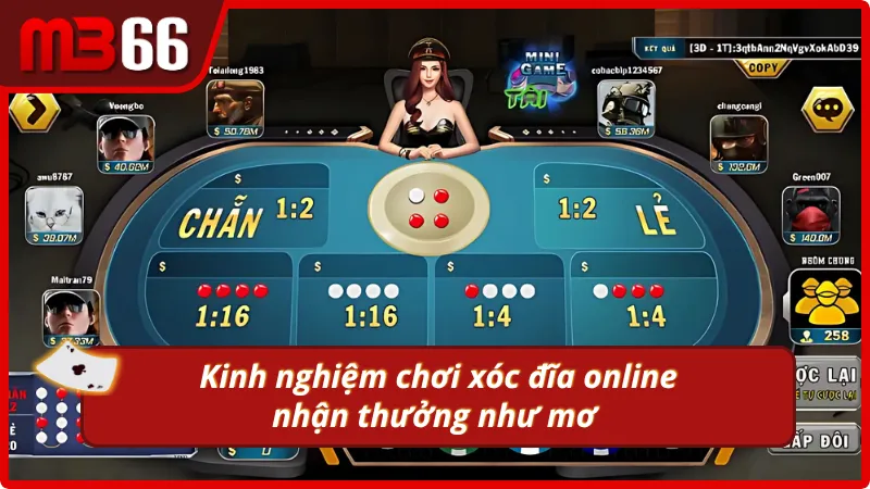 Bật mí chiến thuật chơi xóc đĩa online quét sạch tiền nhà cái 