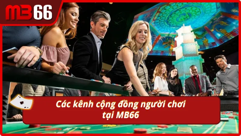 Những kênh kết nối trong cộng đồng người chơi MB66