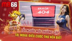 Lỗi Người Mới Thường Gặp Tại MB66